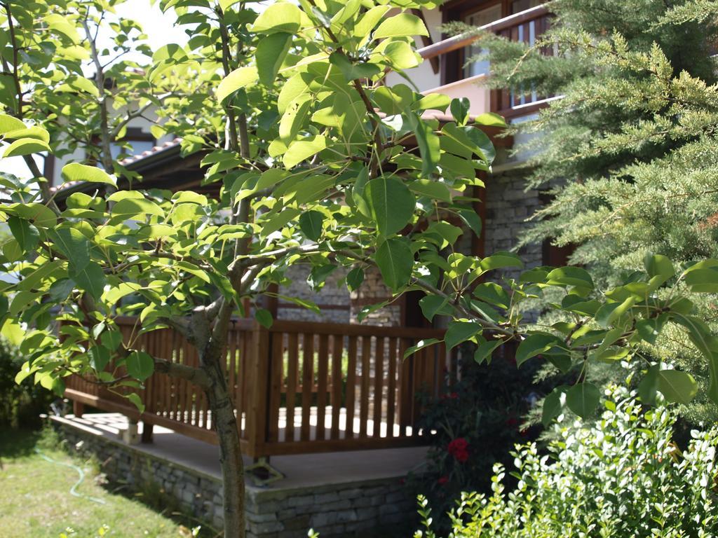 Villa Maria, Complex Aleksandria ドブリニシュテ エクステリア 写真