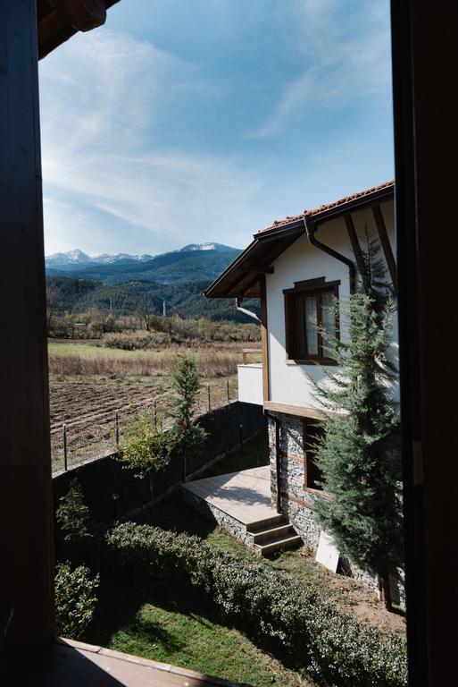 Villa Maria, Complex Aleksandria ドブリニシュテ エクステリア 写真